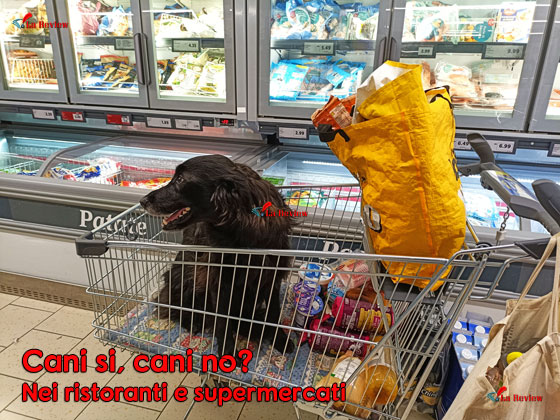 Cani SI, Cani NO?